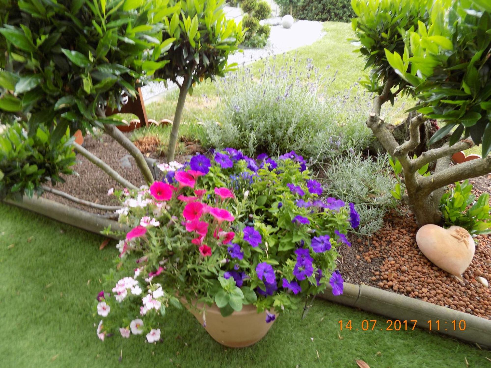 דירות Schoneberg  Haus Alexandra מראה חיצוני תמונה